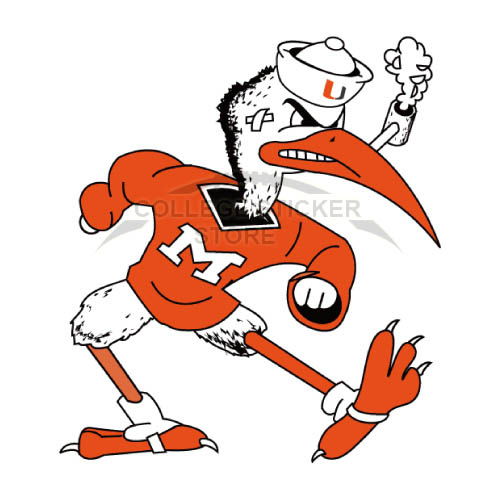 Personal Miami Hurricanes Iron-on Transfers (Wall Stickers)NO.5040